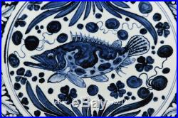 18 Chinese Antique Porcelain Yuan Blue & white painting fish waterweeds plate