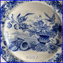 19th Century Childs Plate Blue And White Transferware Shells Birds Cornucopia