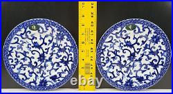 (2) Ralph Lauren Mandarin Blue Salad Plates Set Floral White Lattice Dishes Lot
