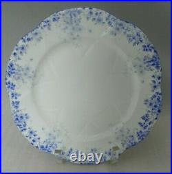 6 Vintage Shelley Bone China Dainty Blue 8 Salad Plates England