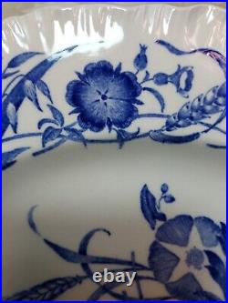 6 Vintage Wedgwood Etruria Blue & White Cornflower 10.25 Dinner Plate England