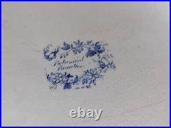 ANTIQUE Botanical Beauties BLUE & WHITE MEAT PLATTER Mid 19th Century