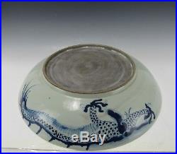 A Chinese Large 16 Blue White Porcelain Dragon Plate