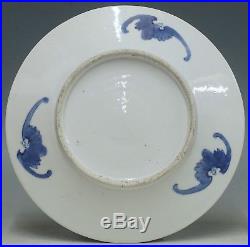 A perfect antique 19th c chinese porcelain blue & white plate with birds & bats