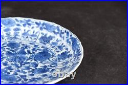 Amazing Antique chinese porcelain blue and white kangxi plate 1662-1722