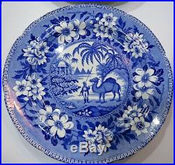 Antique C19th Set of 6 Blue & White Transferware Plates Camel Dromedary Pattern