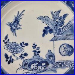 Antique Chinese Blue And White Plate Painted With Birds In A Garden 22.5cm #5