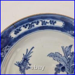 Antique Chinese Blue And White Plate Painted With Birds In A Garden 22.5cm #5