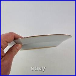 Antique Chinese Blue And White Plate Painted With Birds In A Garden 22.5cm #5