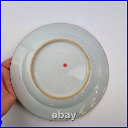 Antique Chinese Blue And White Plate Painted With Birds In A Garden 22.5cm #5