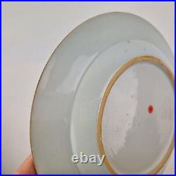 Antique Chinese Blue And White Plate Painted With Birds In A Garden 22.5cm #5