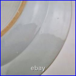 Antique Chinese Blue And White Plate Painted With Birds In A Garden 22.5cm #5