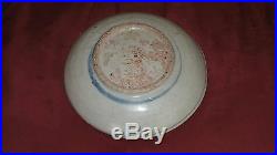 Antique Chinese Blue & White Porcelain Plate Bowl Underglazed Cobalt Duck Dragon