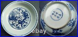 Antique Chinese / Oriental Blue and White Plate/ Dish, Ming dynasty