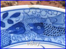 Antique Chinese Qing Dynasty Porcelain Blue & White pair Plates