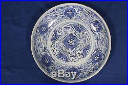 Antique Chinese blue and white porcelain dish (plate) China 18th 19th century