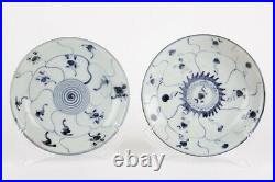 Antique Chinese porcelain plates blue and white 19th century two plates signed