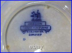 Antique Flow Blue Plate / Bowl Lot. TJ & J Oregon, B&L, Amoy Etc