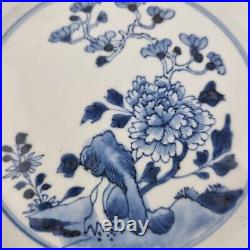 Antique Pair 18thC Chinese Blue And White Octagonal Plates Decorated Flowers