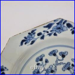 Antique Pair 18thC Chinese Blue And White Octagonal Plates Decorated Flowers