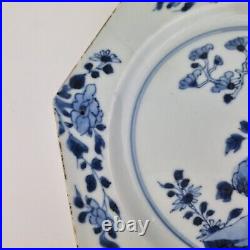 Antique Pair 18thC Chinese Blue And White Octagonal Plates Decorated Flowers