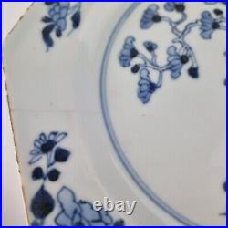 Antique Pair 18thC Chinese Blue And White Octagonal Plates Decorated Flowers