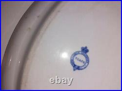 Antique Tg & F Booths Indian Ornament Blue White Serving Plate 14 Inches