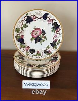 Antique Wedgwood VINE Hand-Painted Dinner Plates circa 1897 Set of 10