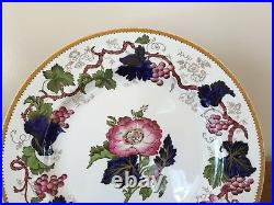 Antique Wedgwood VINE Hand-Painted Dinner Plates circa 1897 Set of 10