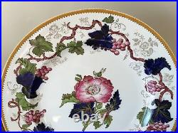 Antique Wedgwood VINE Hand-Painted Dinner Plates circa 1897 Set of 10