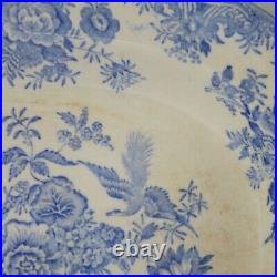 Asiatic Pheasant Blue And white Platter, Antique Blue and White China, Farmhouse