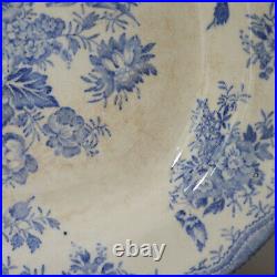 Asiatic Pheasant Blue And white Platter, Antique Blue and White China, Farmhouse