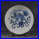 Beautiful Chinese Hand Painting Blue White Porcelain Lion Plate