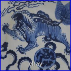 Beautiful Chinese Hand Painting Blue White Porcelain Lion Plate