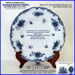 Blue & White/Antique Staffordshire Historical Porcelain plate/Cauldon, 1890s