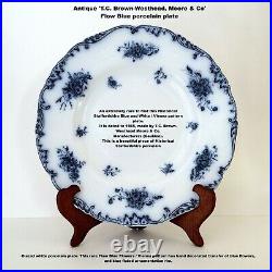 Blue & White/Antique Staffordshire Historical Porcelain plate/Cauldon, 1890s