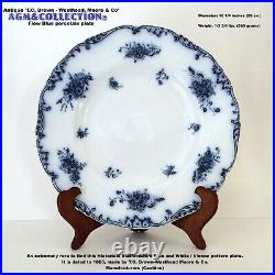 Blue & White/Antique Staffordshire Historical Porcelain plate/Cauldon, 1890s