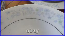 Blue White Fine China Dinnerware Set Blue Floral Design rimmed Platinum 29 pcs