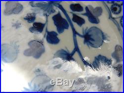 C. 17th Antique Chinese Kangxi Blue and White Porcelain Fish Dish Soup Plate