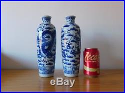 C. 20th Chinese Blue & White Porcelain Kangxi Dragon Porcelain Vases Pair