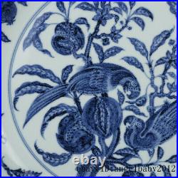 China antique Porcelain Ming xuande blue white flower bird plate diameter 17cm