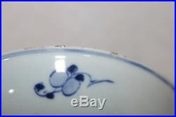 Chinese Blue And White Dish, Finely Decorated With Fruit, Ming Dynasty, Signed