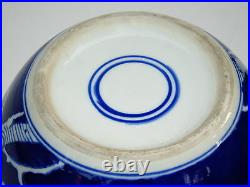 Chinese Blue White Glazed Porcelain Famille Vase