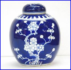 Chinese Blue White Glazed Porcelain Famille Vase