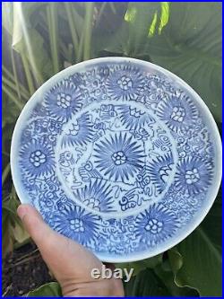 Chinese Blue & White Porcelain Plate