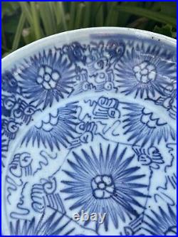 Chinese Blue & White Porcelain Plate