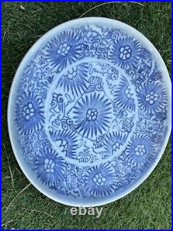 Chinese Blue & White Porcelain Plate