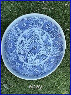 Chinese Blue & White Porcelain Plate