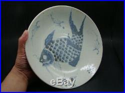 Chinese Ming Dynasty (1368-1644) nice blue white big plate x4083