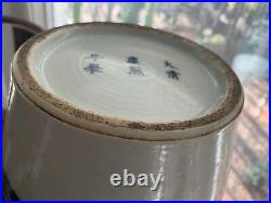 Chinese Qing Jia Qing/Dao Guang Dynasty, Early 1900 cira, Blue&white Vase